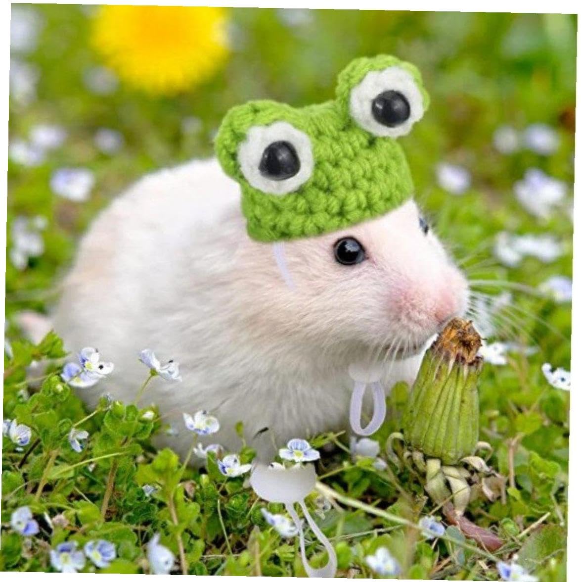 Amazon.co.jp: カエルの形 ハムスター帽子 ミニ 小動物 調整可能